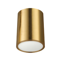 Echo 12W Flush Mount