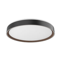 Essex 20" LED Flush Mount