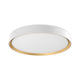 Essex 20" LED Flush Mount