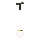 ETL31013-WTNAB