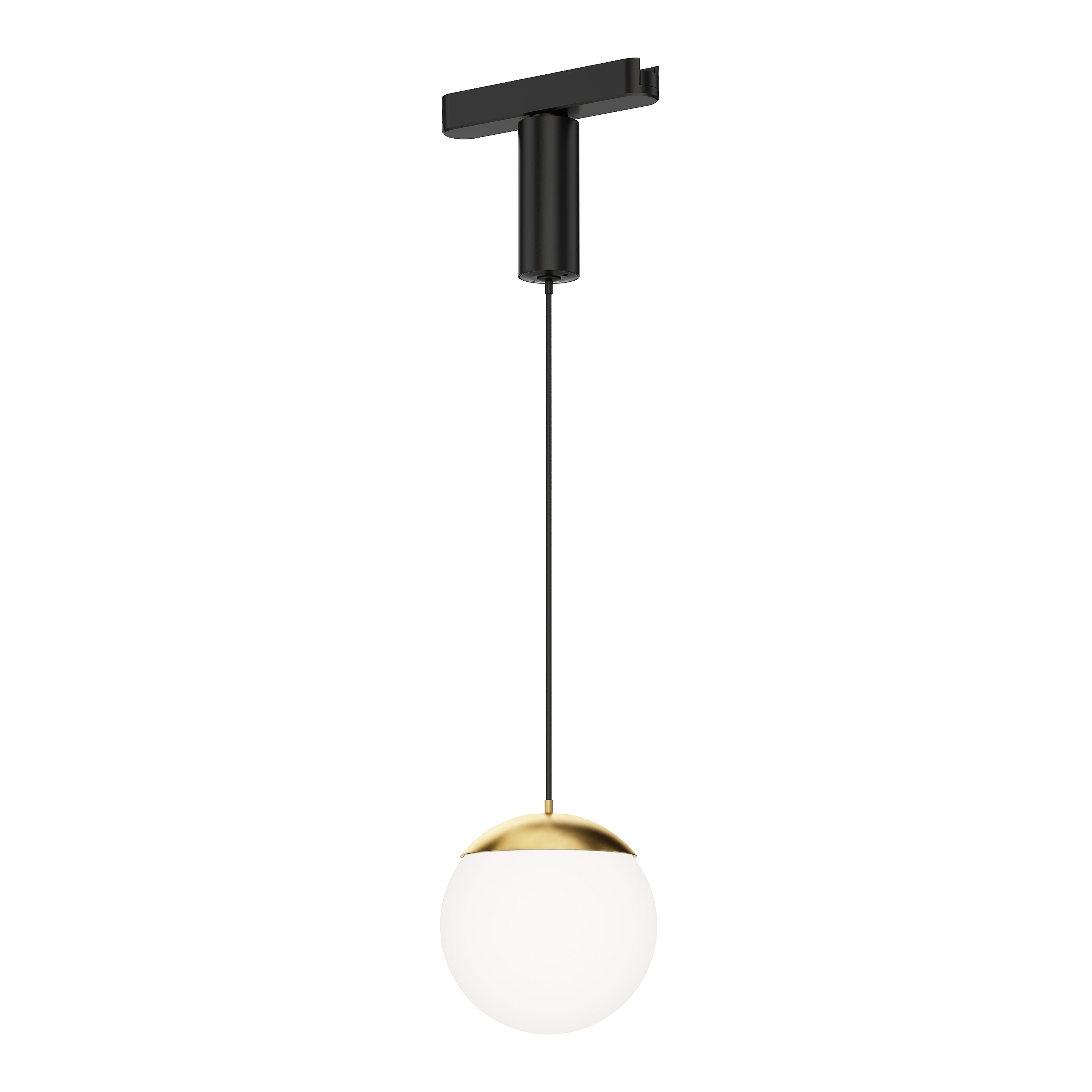 ETL31013-WTNAB