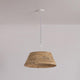 Sequoia 1-Light Pendant
