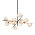 F2842-BRL