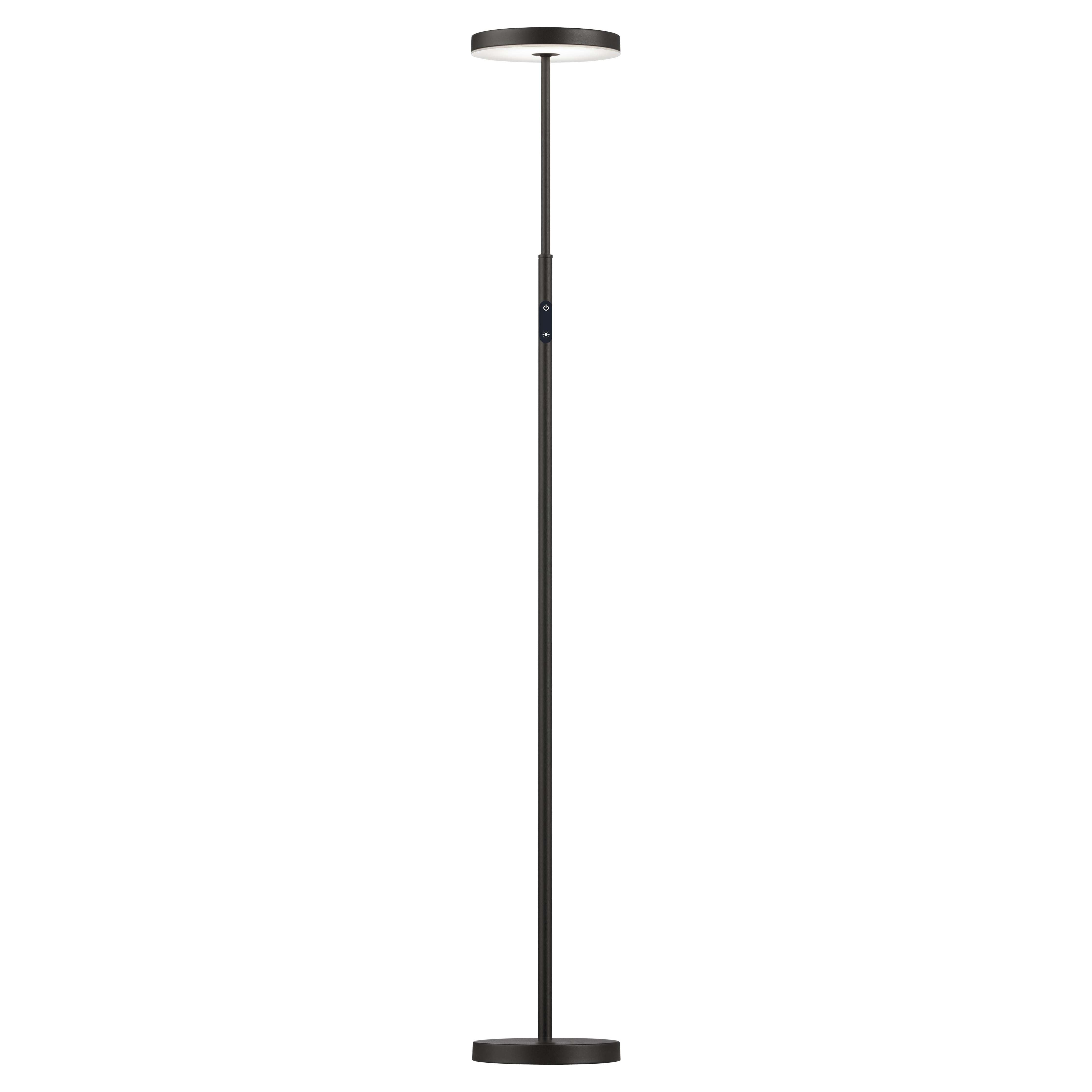 Francine 30W Floor Lamp