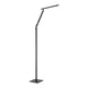 Pazz Floor Lamp