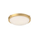 501102BG-LED