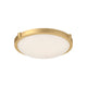 501112BG-LED-5CCT