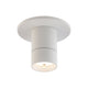 Twist-N-Lite LED 3.5" Surface Mount Cylinder Regressed Downlight