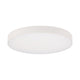 Round LED 5" Edgeless Slim Flush Mount
