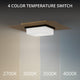 Double Decker 14" LED Flush Mount