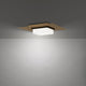 Double Decker 14" LED Flush Mount
