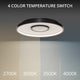 Pinpoint 16" LED Flush Mount