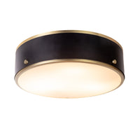 Percussion 2-Light Ceiling Light