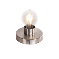 Coy 1-Light Ceiing Mount