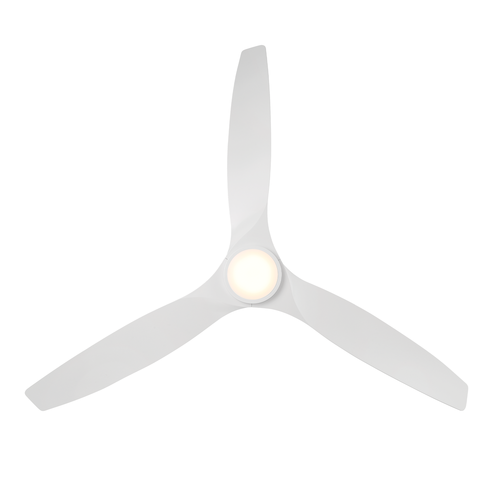 FR-W2202-62L-MW