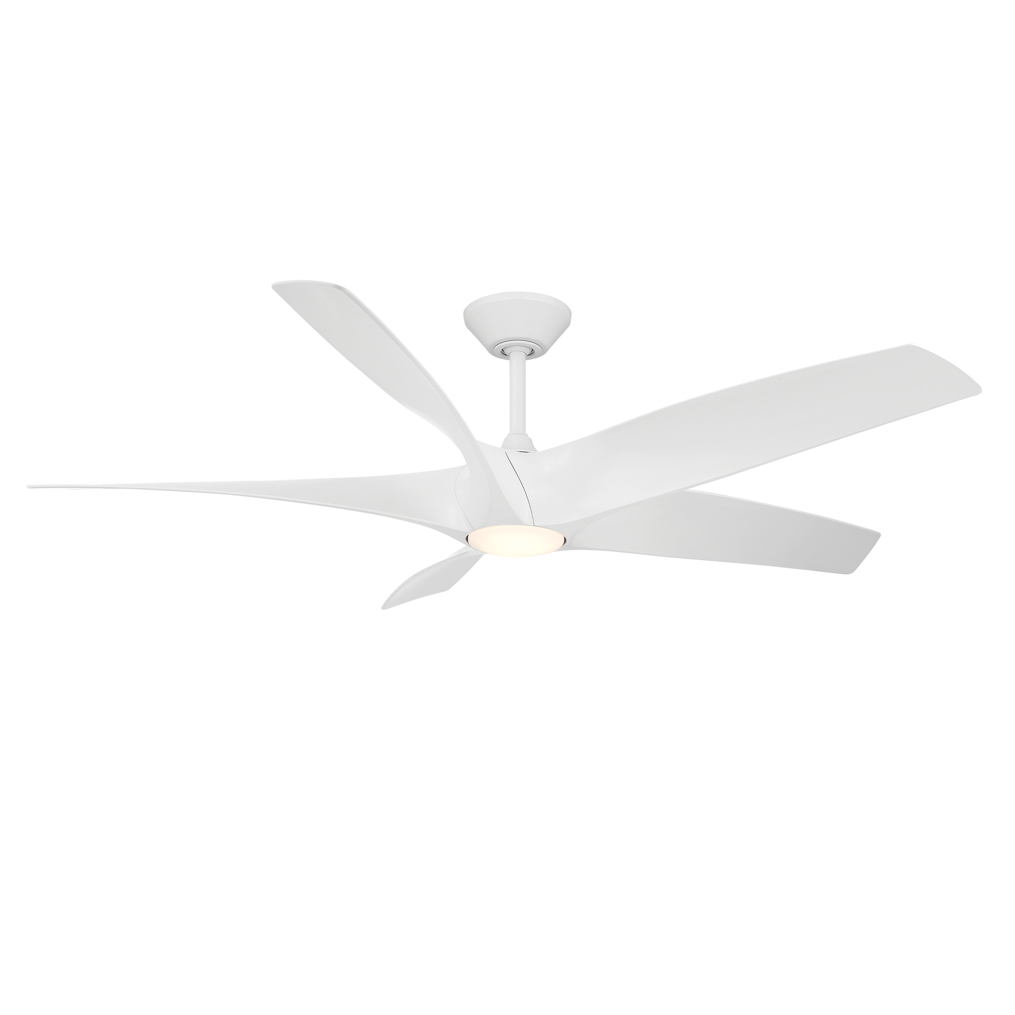 FR-W2401-62L-MW
