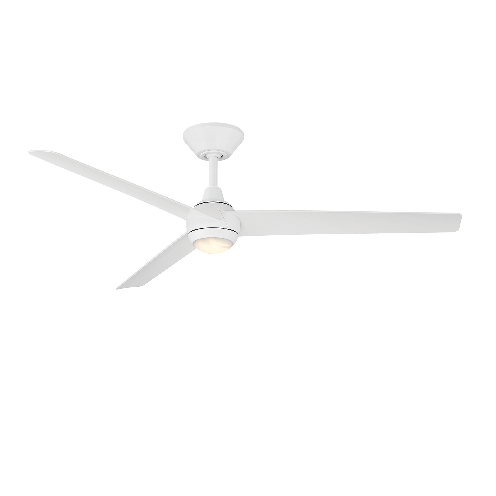 FR-W2503-54L-MW