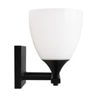 DJV1022MBK