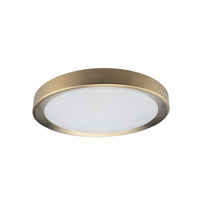 Flynn 24W Flush Mount