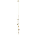 PD50852-BG