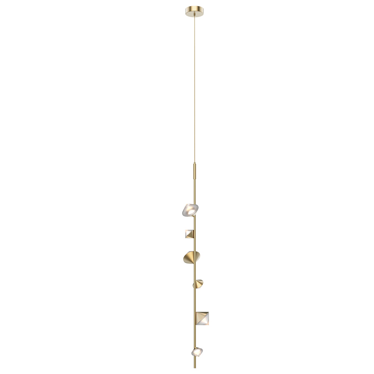 PD50852-BG