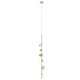 PD50852-BG