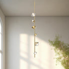 PD50852-BG