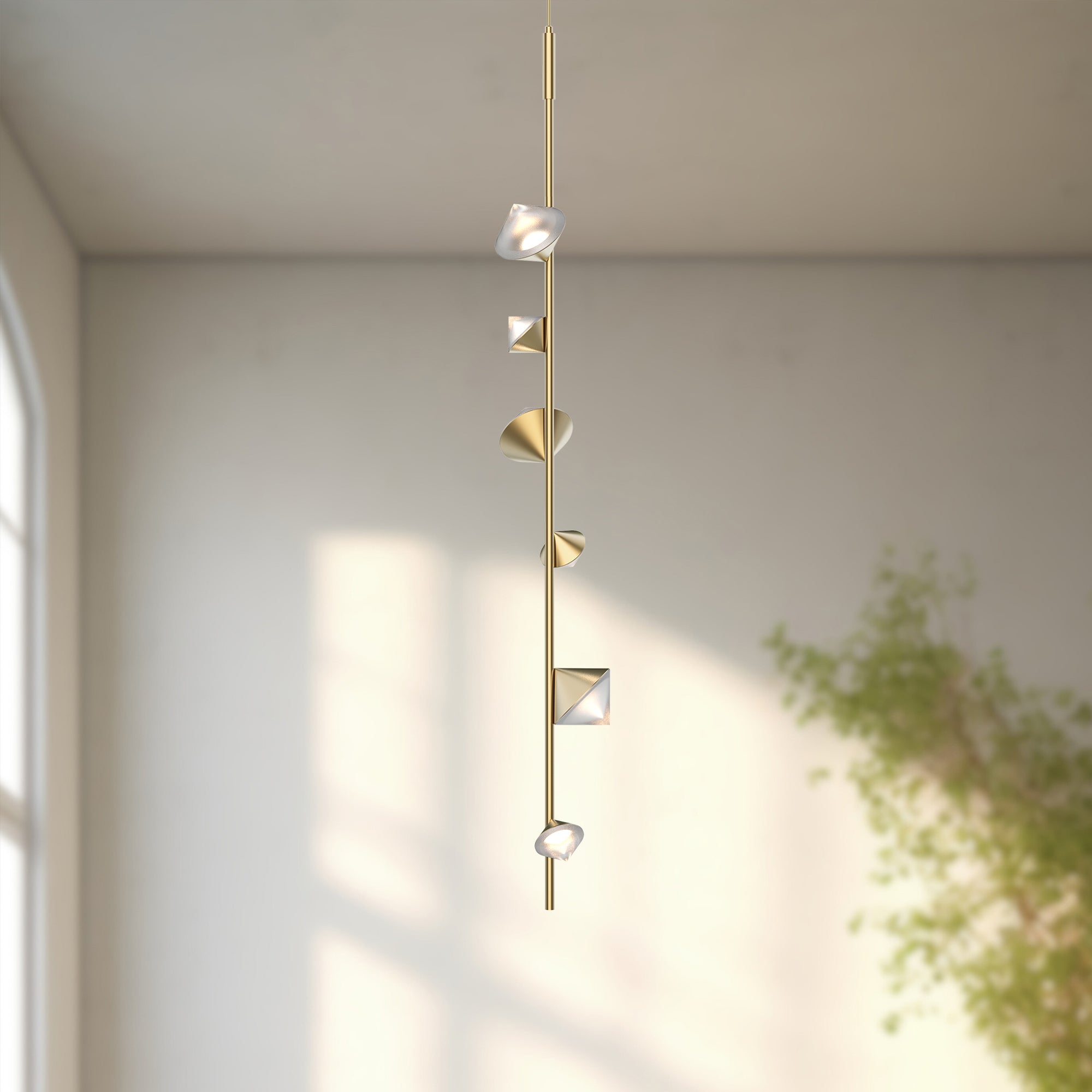 PD50852-BG