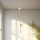 PD50852-BG