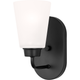 Kerrville 1-Light Wall / Bath Sconce