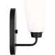 Kerrville 1-Light Wall / Bath Sconce