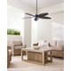 Cruise Outdoor 60 Ceiling Fan
