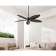 Cruise Outdoor 60 Ceiling Fan