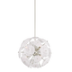 H1004806-PN