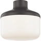 Mitzi - Livvy 1-Light Flush Mount - Lights Canada