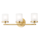 H239303-AGB
