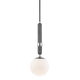 H289701S-PN