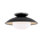 H368601M-BLK/GL