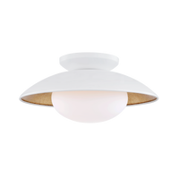 Cadence Semi Flush