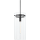 Haisley 1-Light Large Pendant