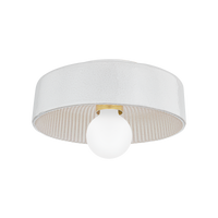 Ray Flush Mount