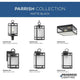 Parrish 1-Light Outdoor Wall Light