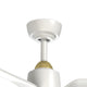 CF92952-BG/WH