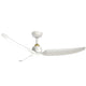 CF92952-BG/WH