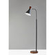 LED Task Floor Lamp