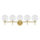 Iissa 5-Light Vanity Light