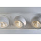 Nymark 3-Light LED Surface Mount