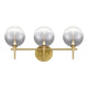 Iissa 3-Light Vanity Light