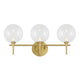 Iissa 3-Light Vanity Light