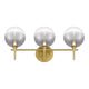 Iissa 3-Light Vanity Light